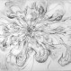 Besty Damon. 'Living Water Drop.' Betsy Damon